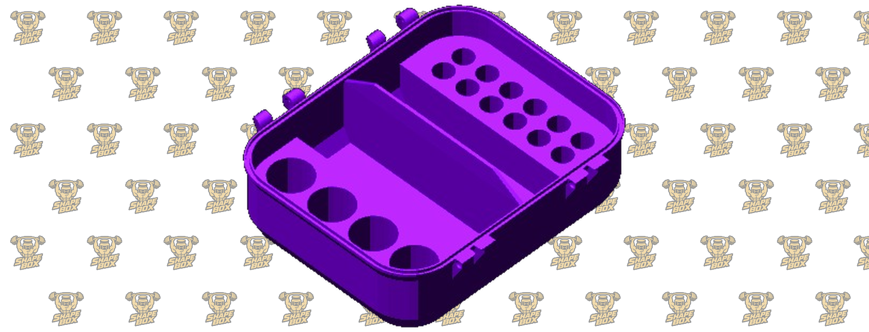BOX 2.A