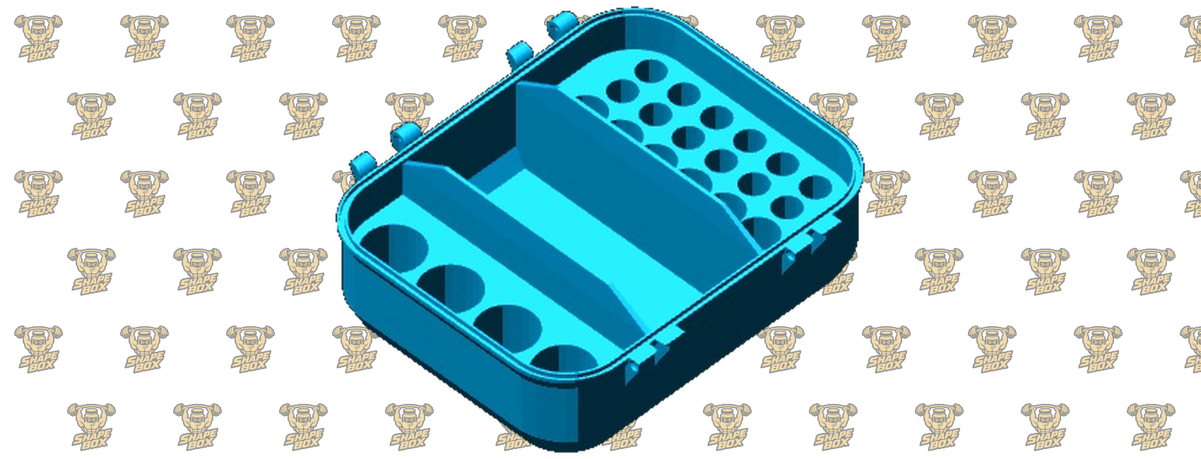 BOX 2.D